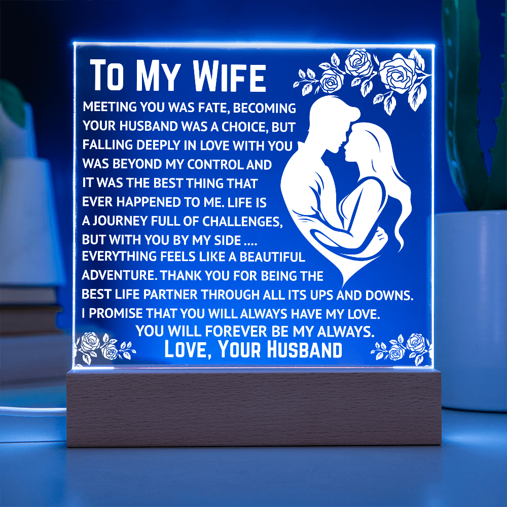 To My Wife - Beyond My Control