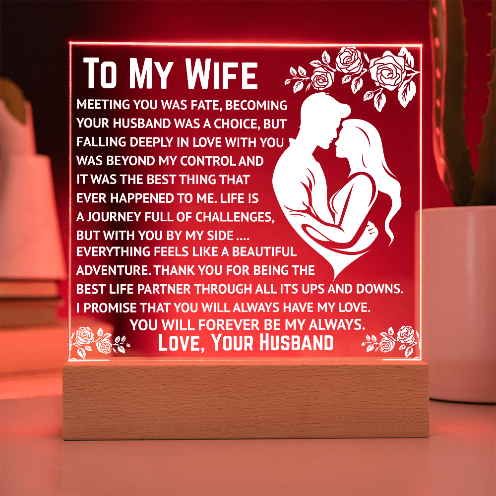 To My Wife - Beyond My Control